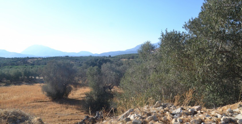 Οικόπεδο 923 τ.μ. πρός πώληση, Ν. Ηρακλείου, Τυμπάκι