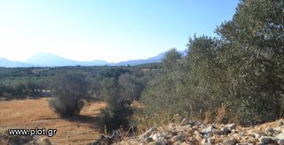 Οικόπεδο 923 τ.μ. για πώληση