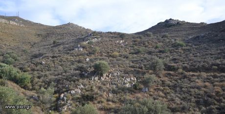 Αγροτεμάχια 12.030 τ.μ. για πώληση