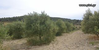 Οικόπεδο 2.010 τ.μ. για πώληση, Ν. Ηρακλείου, Μοίρες-thumb-1