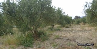 Οικόπεδο 2.010 τ.μ. για πώληση, Ν. Ηρακλείου, Μοίρες-thumb-6