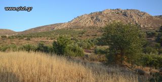Αγροτεμάχια 9.247 τ.μ. για πώληση, Ν. Ηρακλείου, Μοίρες-thumb-2