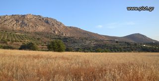 Αγροτεμάχια 9.247 τ.μ. για πώληση, Ν. Ηρακλείου, Μοίρες-thumb-5