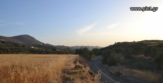 Αγροτεμάχια 9.247 τ.μ. για πώληση, Ν. Ηρακλείου, Μοίρες-thumb-6