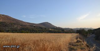 Αγροτεμάχια 9.247 τ.μ. για πώληση, Ν. Ηρακλείου, Μοίρες-thumb-8