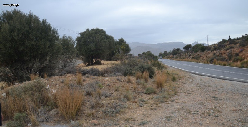 Οικόπεδο 7.145 τ.μ. πρός πώληση, Ν. Ρεθύμνου, Λάμπη