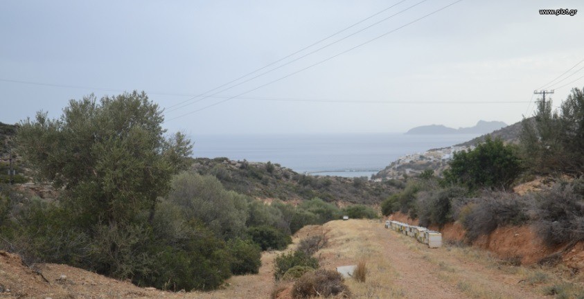 Οικόπεδο 7.145 τ.μ. πρός πώληση, Ν. Ρεθύμνου, Λάμπη