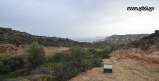 Οικόπεδο 7.145 τ.μ. για πώληση, Ν. Ρεθύμνου, Λάμπη-thumb-7