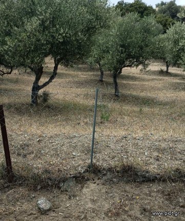 Οικόπεδο 10.000 τ.μ. πρός πώληση, Ν. Ηρακλείου, Τυμπάκι