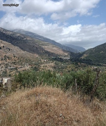 Οικόπεδο 10.000 τ.μ. πρός πώληση, Ν. Ηρακλείου, Τυμπάκι