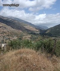 Οικόπεδο 10.000 τ.μ. για πώληση, Ν. Ηρακλείου, Τυμπάκι-thumb-2