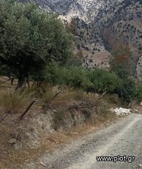 Οικόπεδο 10.000 τ.μ. για πώληση, Ν. Ηρακλείου, Τυμπάκι-thumb-6