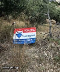 Οικόπεδο 10.000 τ.μ. για πώληση, Ν. Ηρακλείου, Τυμπάκι-thumb-8