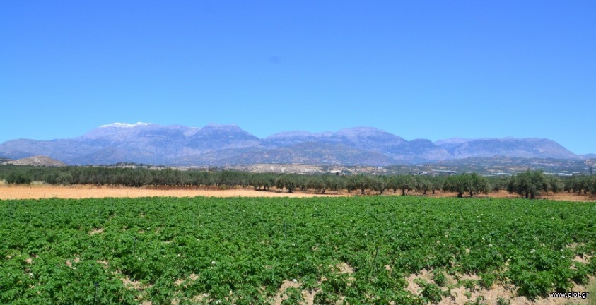 Οικόπεδο 2.700 τ.μ. πρός πώληση, Ν. Ηρακλείου, Μοίρες
