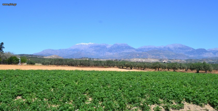 Οικόπεδο 2.700 τ.μ. πρός πώληση, Ν. Ηρακλείου, Μοίρες
