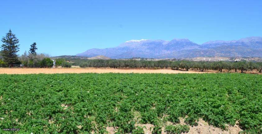 Οικόπεδο 2.700 τ.μ. πρός πώληση, Ν. Ηρακλείου, Μοίρες