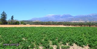 Οικόπεδο 2.700 τ.μ. για πώληση, Ν. Ηρακλείου, Μοίρες-thumb-3
