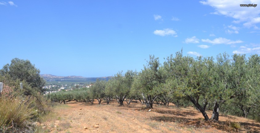 Οικόπεδο 3.098 τ.μ. πρός πώληση, Ν. Ηρακλείου, Μοίρες