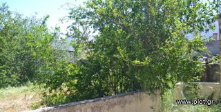 Άλλο 180 τ.μ. για πώληση, Ν. Ηρακλείου, Τυμπάκι-thumb-7