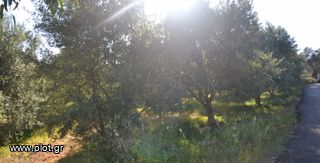 Οικόπεδο 2.613 τ.μ. για πώληση, Ν. Ηρακλείου, Τυμπάκι-thumb-1