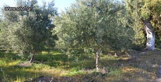 Οικόπεδο 2.613 τ.μ. για πώληση, Ν. Ηρακλείου, Τυμπάκι-thumb-2