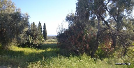 Οικόπεδο 3.290τ.μ. για πώληση-Τυμπάκι » Λαγολί