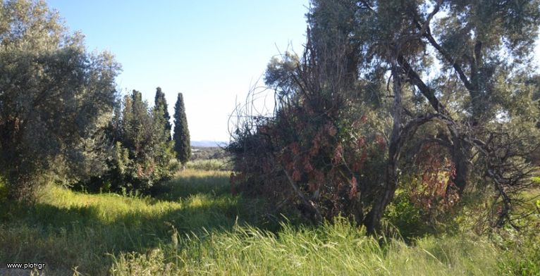 Land plot 3.290 sqm for sale, Heraklion Prefecture, Timpaki