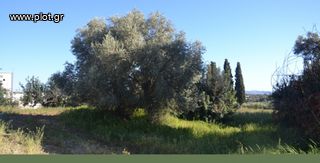 Οικόπεδο 3.290 τ.μ. για πώληση, Ν. Ηρακλείου, Τυμπάκι-thumb-1