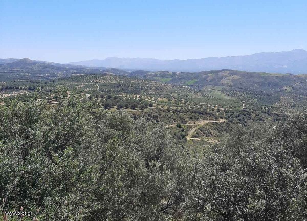 Land plot 4.300 sqm for sale, Heraklion Prefecture, Αgia Varvara