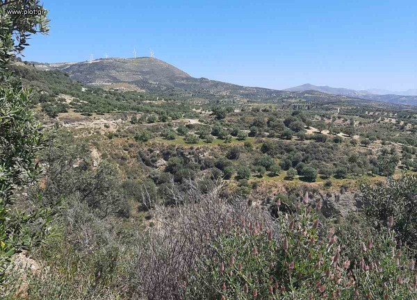 Land plot 4.300 sqm for sale, Heraklion Prefecture, Αgia Varvara