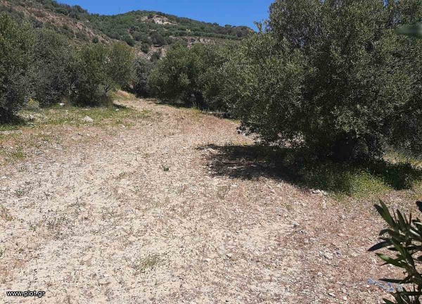 Land plot 4.300 sqm for sale, Heraklion Prefecture, Αgia Varvara