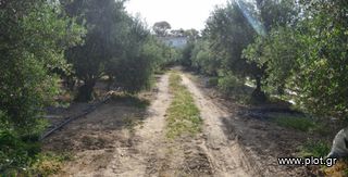 Οικόπεδο 5.000 τ.μ. για πώληση