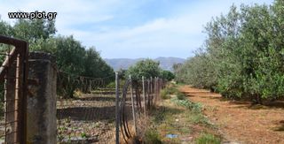 Οικόπεδο 5.000 τ.μ. για πώληση, Ν. Ηρακλείου, Μοίρες-thumb-1