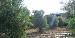 Οικόπεδο 5.000 τ.μ. για πώληση, Ν. Ηρακλείου, Μοίρες-thumb-2