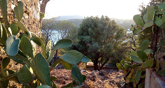 Οικόπεδο 358 τ.μ. πρός πώληση, Δωδεκάνησα, Λέρος