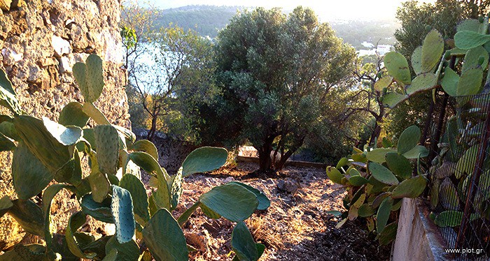 Οικόπεδο 358 τ.μ. πρός πώληση, Δωδεκάνησα, Λέρος