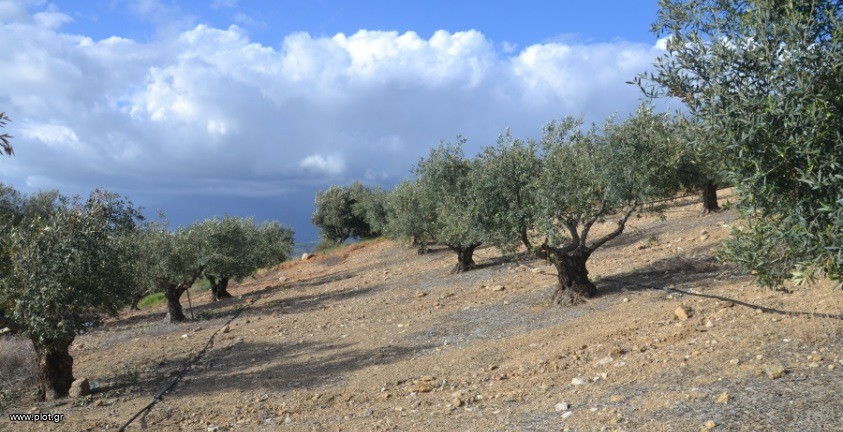 Αγροτεμάχια 10.377 τ.μ. πρός πώληση, Ν. Ηρακλείου, Μοίρες