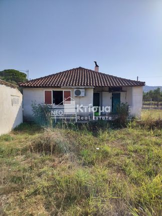 Μονοκατοικία 101 τ.μ. για πώληση, Ν. Ηλείας, Αρχαία Ολυμπία