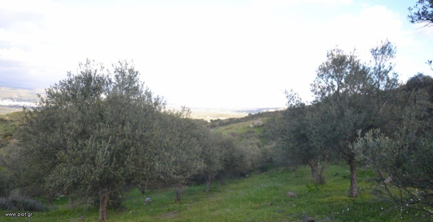 Αγροτεμάχια 12.802 τ.μ. πρός πώληση, Ν. Ηρακλείου, Μοίρες