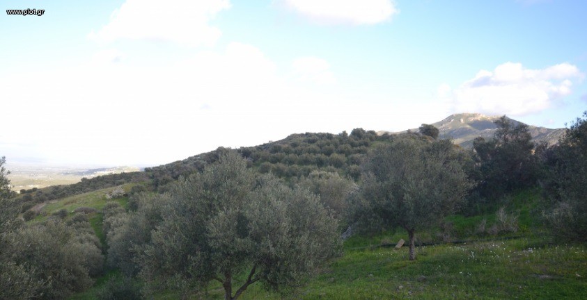 Αγροτεμάχια 12.802 τ.μ. πρός πώληση, Ν. Ηρακλείου, Μοίρες
