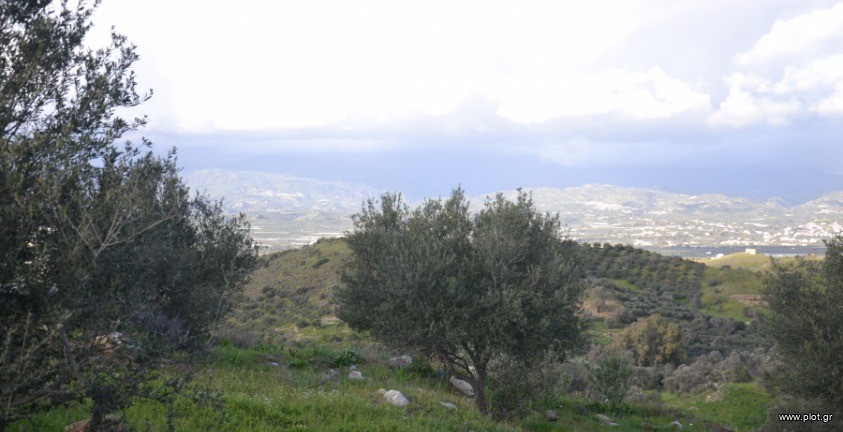 Αγροτεμάχια 12.802 τ.μ. πρός πώληση, Ν. Ηρακλείου, Μοίρες