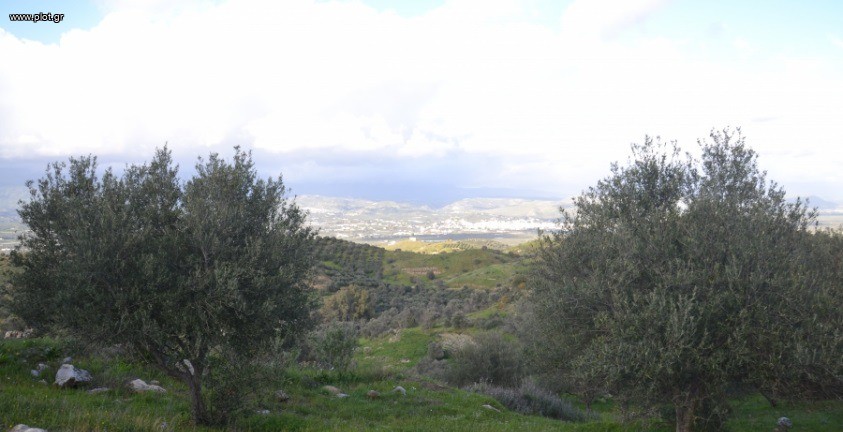 Αγροτεμάχια 12.802 τ.μ. πρός πώληση, Ν. Ηρακλείου, Μοίρες