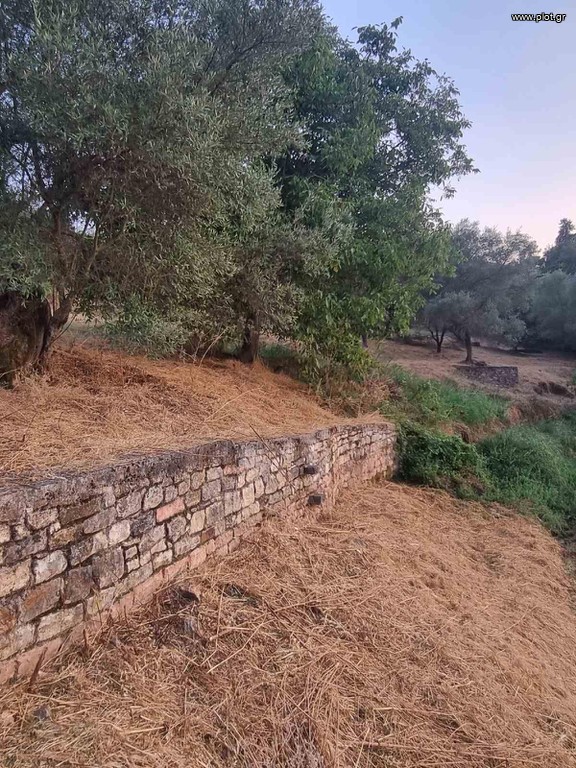 Οικόπεδο 2.471 τ.μ. προς πώληση, Παραπόταμος Θεσπρωτίας