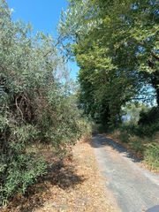 Αγροτεμάχια 408 τ.μ. για πώληση, Εύβοια, Λιχάδα-thumb-6