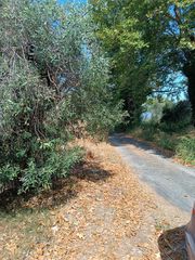 Αγροτεμάχια 408 τ.μ. για πώληση, Εύβοια, Λιχάδα-thumb-7