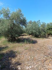 Αγροτεμάχια 408 τ.μ. για πώληση, Εύβοια, Λιχάδα-thumb-8