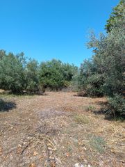 Αγροτεμάχια 408 τ.μ. για πώληση, Εύβοια, Λιχάδα-thumb-9