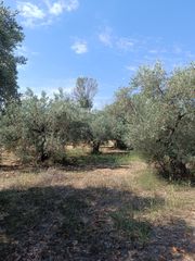 Αγροτεμάχια 408 τ.μ. για πώληση, Εύβοια, Λιχάδα-thumb-10