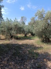 Αγροτεμάχια 408 τ.μ. για πώληση, Εύβοια, Λιχάδα-thumb-12