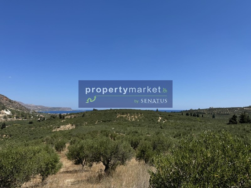 Οικόπεδο 7.700 τ.μ. προς πώληση, Καλύβες Αρμενών